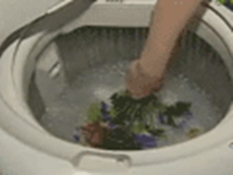 ��ϴ����