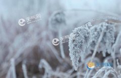 �V�|����������f���Ծֲ���˪�� �V��������ߚ��21������