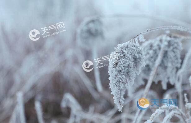 С����(ji��)���Ԋ�� С����(ji��)���Ԋ�~�b�p