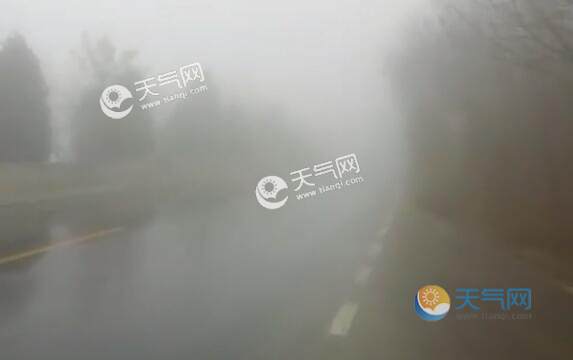 ���FӰ��Ĵ����l���ٌ�(sh��)�н�ͨ���� �ėl����ȫ�����M(f��i)վ����P(gu��n)�]