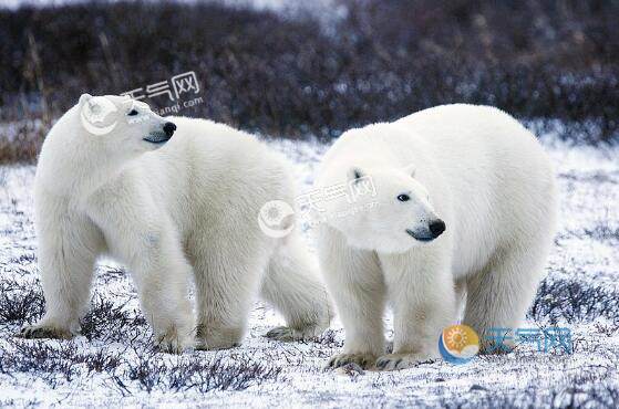 ���O��(d��ng)������Щ ���O���˱��O��߀��ʲô��(d��ng)��