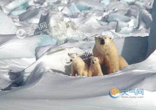 ���O��(d��ng)������Щ ���O���˱��O��߀��ʲô��(d��ng)��