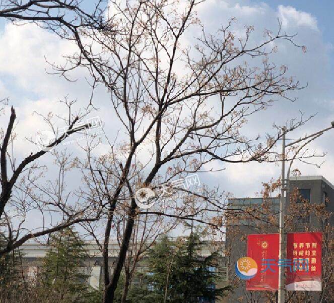 2021��(j��)��Ԫ������䲻�� 2021ɽ�|��(j��)��Ԫ������ѩ��