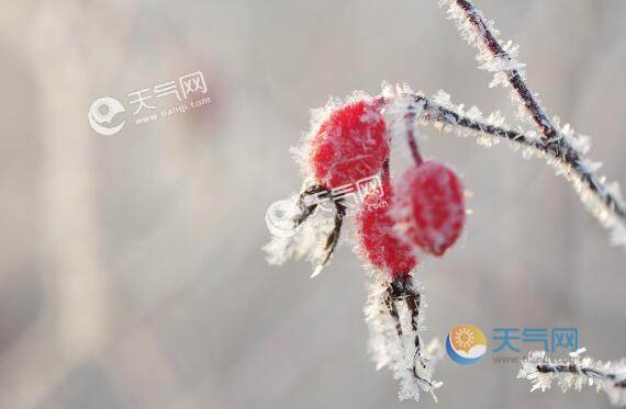 2021��(j��)��Ԫ������䲻�� 2021ɽ�|��(j��)��Ԫ������ѩ��