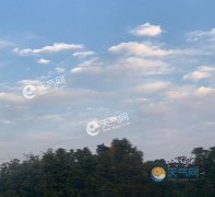 2021�Ϻ�Ԫ�������ô�ӕ�(hu��)��ѩ�� Ԫ�����g��͚�،����ֱ��c(di��n)��