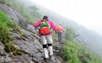 �������ͽ����Խ ͽ����Խ�ķ���