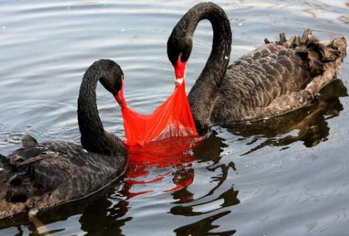 ���ϴ����h(hu��n)����Σ������Щ�����ϴ��Ķ���