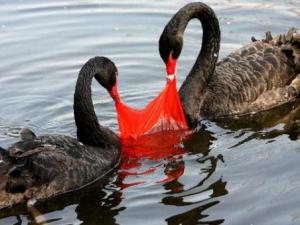 ���ϴ���(du��)�h(hu��n)����Σ������Щ�����ϴ��Ķ���