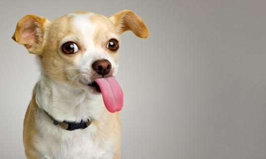 ���B(y��ng)�������������B(y��ng)���ľ��w����