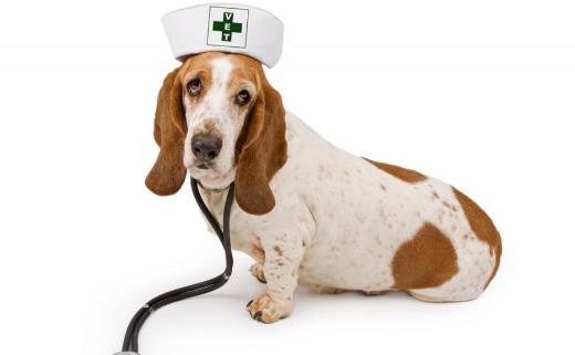 ���l(f��)��������r�܂� ���ļ����c�o�����R 