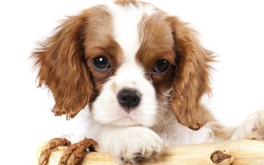 ���l(f��)��������r�܂� ���ļ����c�o�����R 