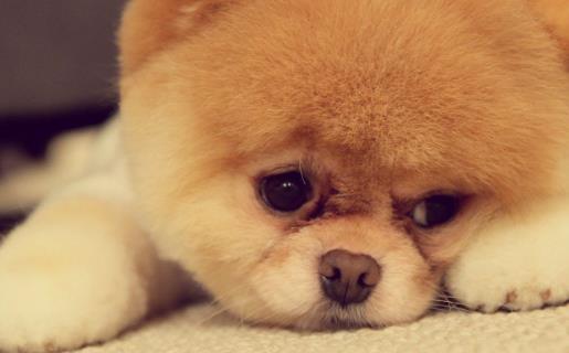 ���l(f��)��������r�܂� ���ļ����c�o�����R 