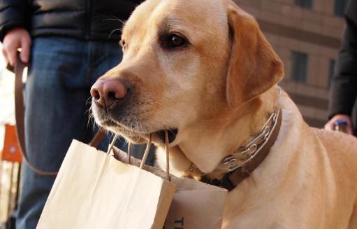 ���l(f��)��������r�܂� ���ļ����c�o�����R 