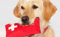 �����܂� �Pʺ�ٺ��б�Ҫ���յļ����c�o�����R