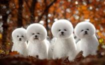 �o����ι�(q��)�xˎ��Ҫע������(xi��ng)