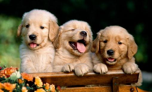 �������_Ӗ(x��n)�������ķ���