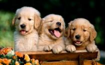 �������_Ӗ�������ķ���