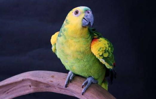 �{(l��n)픁��R�d�W�^�ăr(ji��)�� �{(l��n)픁��R�d�W�^��B(y��ng)����