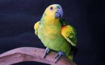 �{(l��n)픁��R�d�W�^�ăr(ji��)�� �{(l��n)픁��R�d�W�^��B(y��ng)����