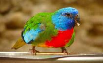 �r�t���W�^�����B(y��ng)���r�t���W�^�Įa(ch��n)��