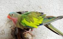 �����W�^����B(y��ng)���� �����W�^�r(ji��)��