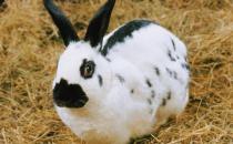 �������၆�õ�������������Щ��