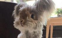 �����õĮa(ch��n)������������ö����X�����I����