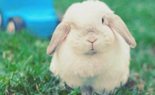 ����(gu��)�����õĺ�(ji��n)��-����(gu��)�����õăr(ji��)��