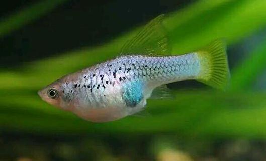 �¹��~�ĺ���-�¹��~�ĵ�Ʒ�N