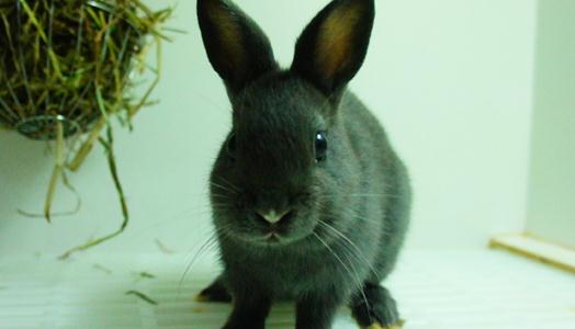 �������Ì�(du��)��B(y��ng)�h(hu��n)����ʲôҪ����