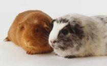 ������ë��������ô�B(y��ng)��������ë����������h(hu��n)��