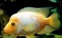 ���Q�~�ĺ���-���Q�~���B(y��ng)ֳ�h(hu��n)��