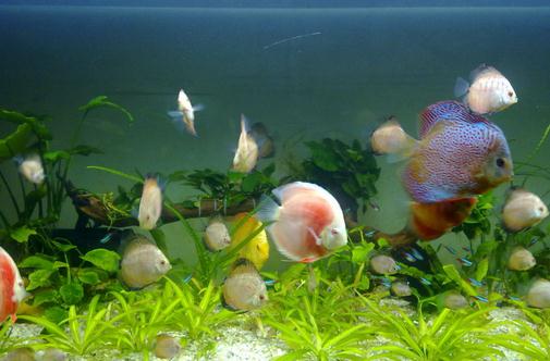 �߲������~���L(f��ng)ˮ�W(xu��)��(y��ng)������Щ��