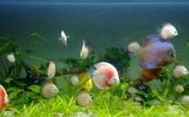 �߲������~���Lˮ�W��������Щ��