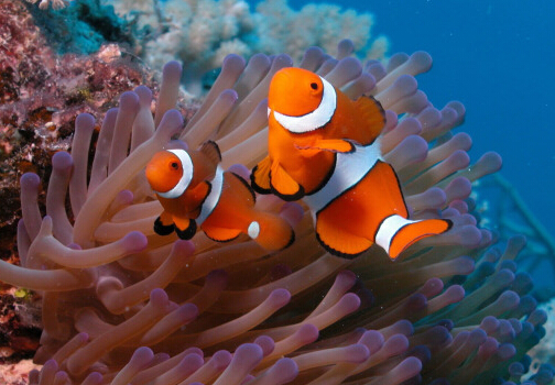 С���~��ô�B(y��ng)��С���~��Ҋ��������ί���