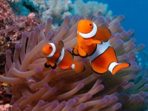 С���~��ô�B(y��ng)��С���~��Ҋ��������ί���