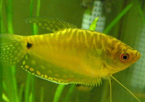 �����~��Ʒ�N��B-�����~���~�ה[��λ��