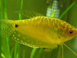 �����~(y��)��Ʒ�N��B-�����~(y��)���~(y��)�ה[��λ��