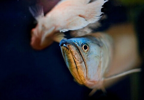 �y���~���L(f��ng)ˮ�W(xu��)��(y��ng)��-�y���~���~�ה[��λ��