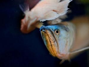 �y���~(y��)���L(f��ng)ˮ�W(xu��)��(y��ng)��-�y���~(y��)���~(y��)�ה[��λ��