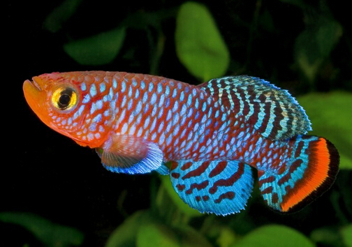 ���~(y��)���L(f��ng)ˮ�W(xu��)��(y��ng)��-���~(y��)��Ʒ�N��B