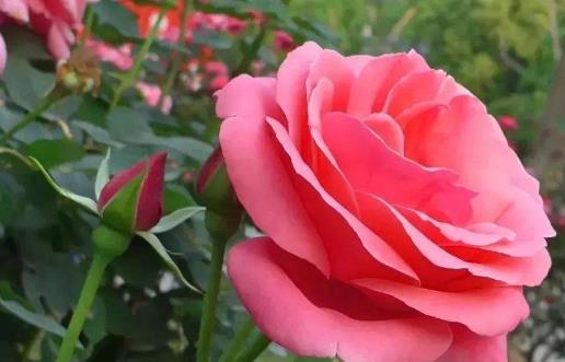 �¼�����ô�B(y��ng) �B(y��ng)�¼�����ע�����(xi��ng)
