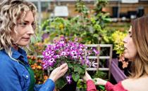 ��(x��)��(sh��)��ͥ�������L�ں��������޼���ѕr�g������