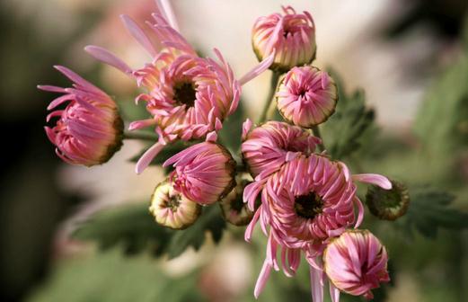 ��յ��B(y��ng)�o(h��)Ҫ�c(di��n)����Щ��