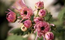 ��յ��B(y��ng)�oҪ�c����Щ��