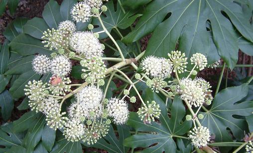 �@Щֲ�ﶼ�ж���Ҫ�����c���ˣ�