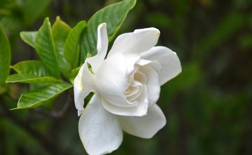 �d�ӻ��~�Ӱl(f��)�S��ԭ����ʲô��