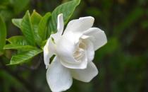 �d�ӻ��~�Ӱl(f��)�S��ԭ����ʲô��