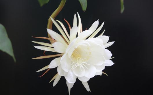 �һ����Ҿӭh(hu��n)����Ӱ�-�һ������ӵ���