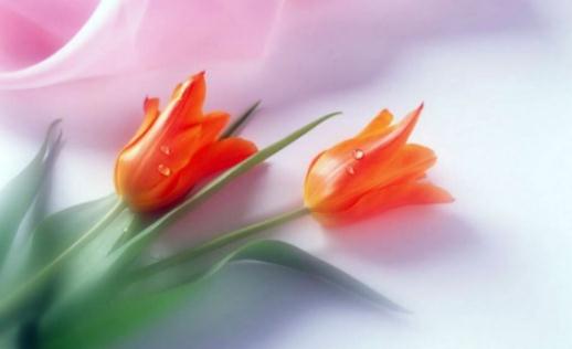 �r�����r�ķ���-�r�����r�Įa(ch��n)Ʒ